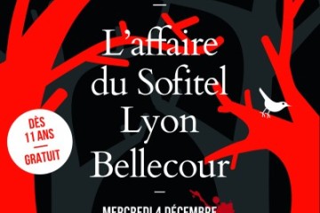 L'affaire du Sofitel